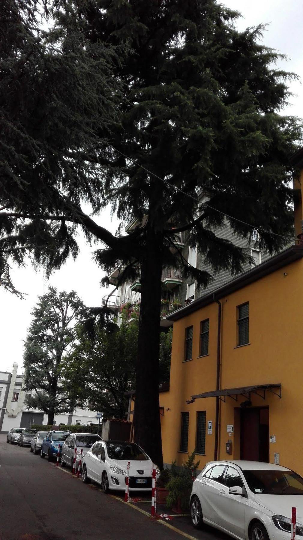 Residence Il Pino Saronno Exterior foto